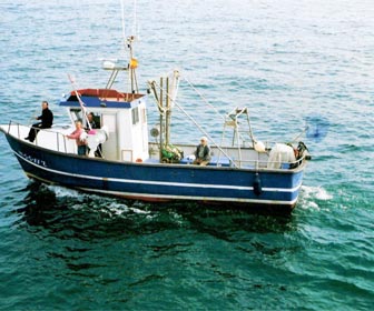 Barcos de pesca de bajura