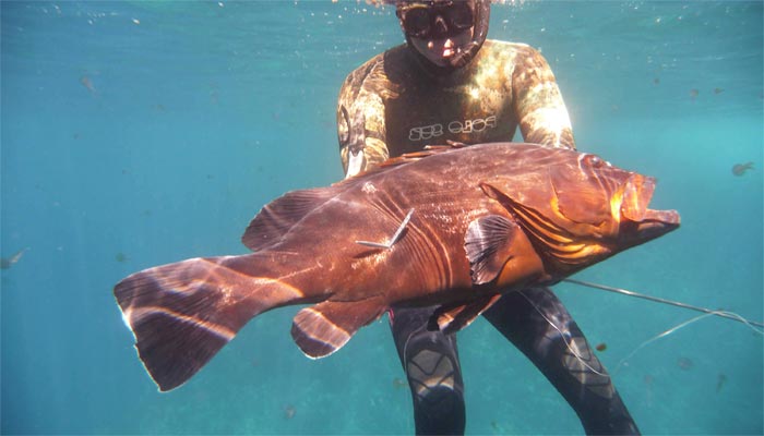 Meroo Fishing COMO PESCAR MEROS 】Trucos que SÍ FUNCIONAN! - EsPesca