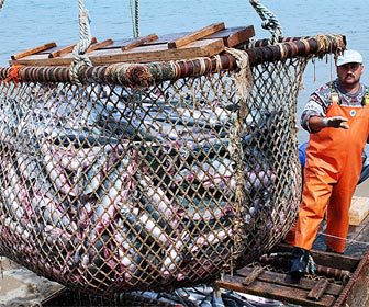Industria del sector pesquero