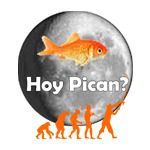 Logo APP Hoy Pican