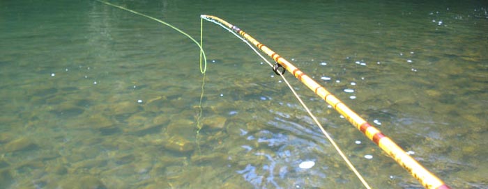 Pescar con cañas de bambú