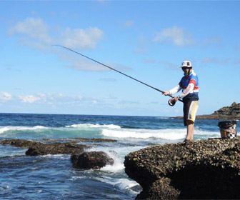 Cañas pesca rockfishing
