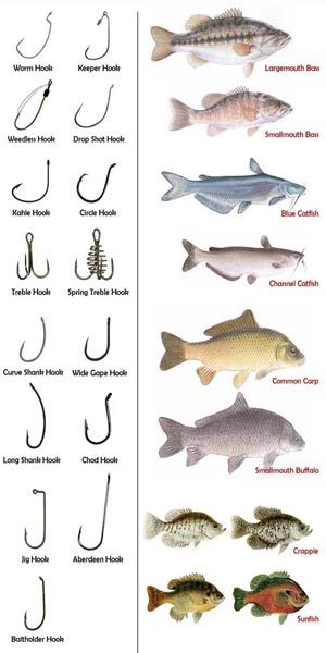 Tipos de anzuelos según el pez que queramos pescar