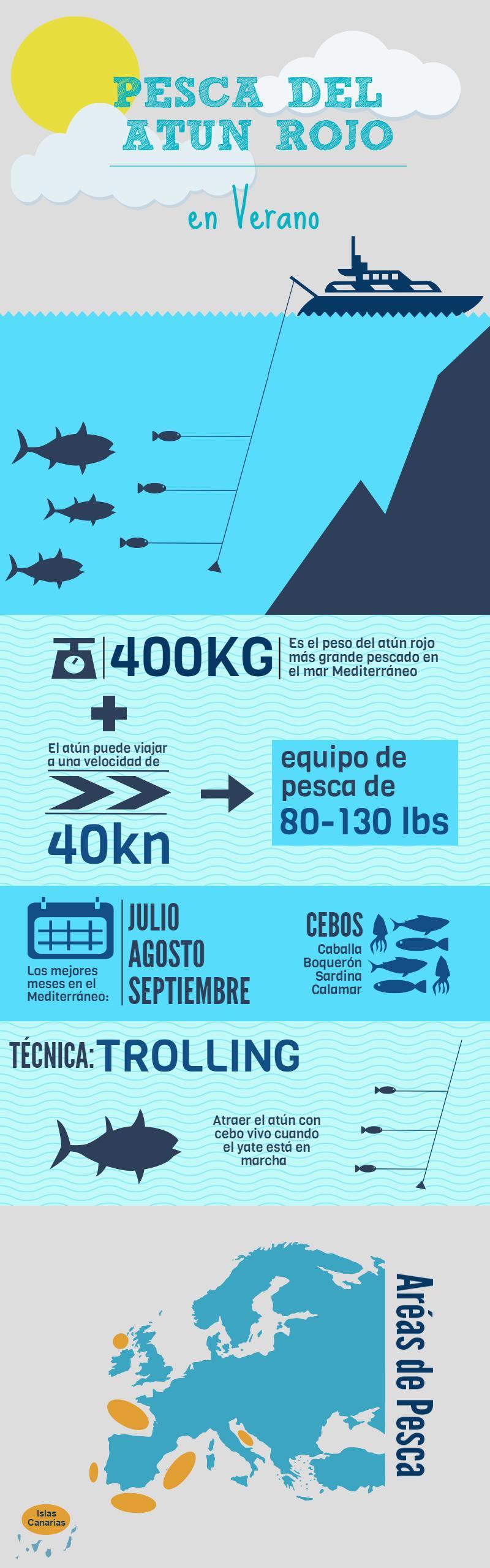 Infografia temporada pesca del atún rojo